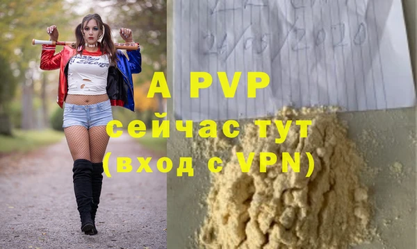 a pvp Алзамай