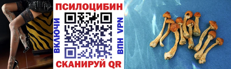 Галлюциногенные грибы Psilocybine cubensis  Ухта 